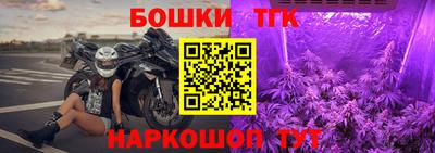 мдпв Татарск